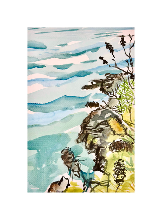 Banksias on the Cliff