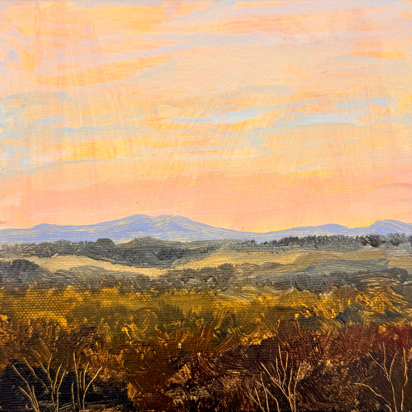 Hinterland Dusk